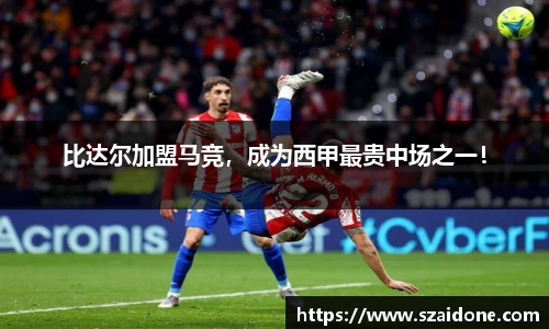 熊猫体育平台官网