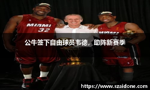 熊猫体育平台官网